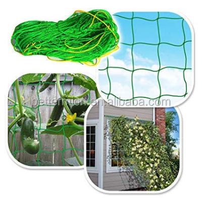 China 2 Pack Plant Support 6 Feet x 16.5 Feet Garden Plant Trellis Netting Cucumber Trellis Netting for sale