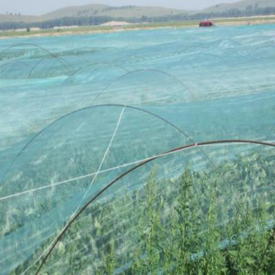 China High Quality Nylon Polyester Plastic Anti Bird Bird Control Wholesale Garden Net Net for sale