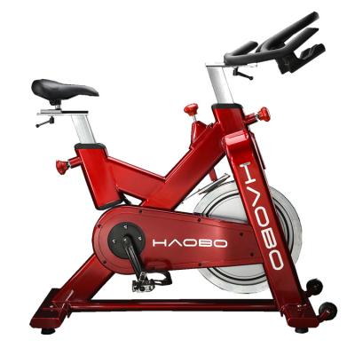 China Universal Supply OEM Services Enterprise Magnetic Motion Flywheel 20KG Exercise Bike for sale