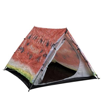 China Easy Foldable Ultralight Double Layer Tent Carbon Fiber Pole Tent Camping Tent Two Person Outdoor Tent for sale