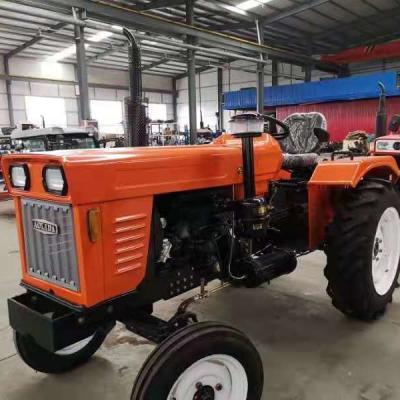 China Farms Hot Sale In Egypt 2WD 4WD Farm Tractors for sale