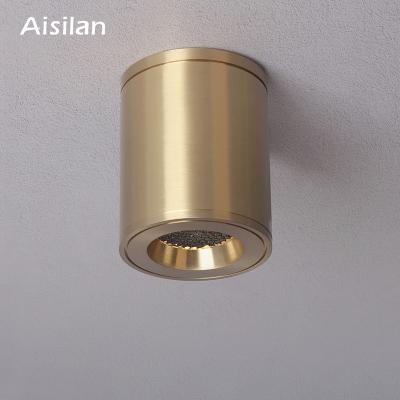 China Non-standard 7W copper anti-glare finish outdoor mounted cylindrical Aisilan office spot ceiling lamp downlights led tubular for sale