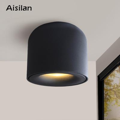 China EUROPEAN Aisilan Indoor Nordic Cylinder Dimmable Spot Light For Hallway Living Room COB Surface Mount LED Downlight for sale