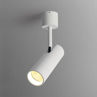 China High luminance Aisilan Indoor Spot Lights For Picture Display Home Hotel Office Store Modern Indoor COB LED Adjustable Spotlight for sale