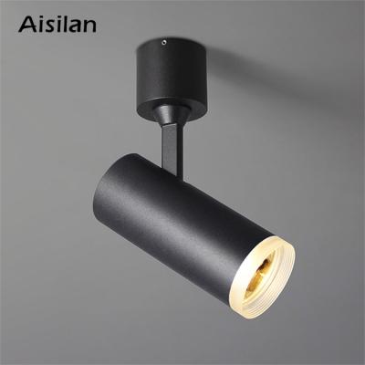 China Aisilan Home Office Cafe High Adjustable Ceiling Double Head Luminance Surface Mount LED Wall Spotlight Spot Lights for sale