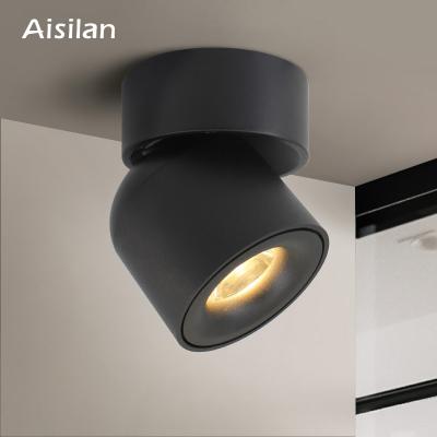 China European Modern Living Room Bedroom Ceiling Anti-glare Spot Led Ceiling Light Outdoor Dimmable Black Cob Adjustable Led Spotlights for sale