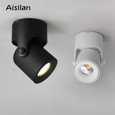 China Modern EUROPEAN Aisilan Hotel Background Kitchen Light Mini Surface Mounted Anti-glare COB Ceiling Down Spot Lights for sale