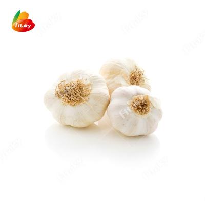 China High Quality China Export Cheap Price Fresh Garlic Fresh White Garlic for sale