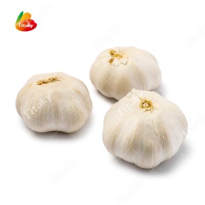 China 2022 Hot Selling High Quality Snow White Garlic From China Fresh Exporters In Bulk for sale