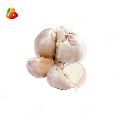 China 2022 Supplier Low Price Chinese Fresh Garlic Normal Fresh White Garlic Garlic for sale