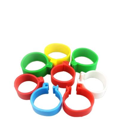 China Viable Poultry Ring Chicken Leg Bands Chicken Bird Clip Rings Bird Foot Band for sale