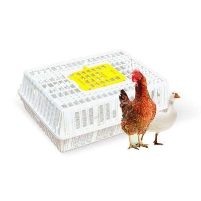 China Wholesale Price Durable Plastic Chicken Transport Cages Cage Poultry Live Chicken Broiler Transport Cages for sale