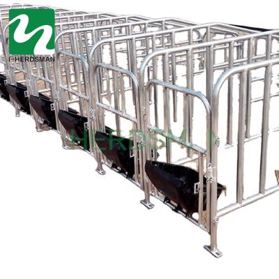 China Henan Farms Poultry Farming Equipment Sow Cage Pig Farrow Crate for sale