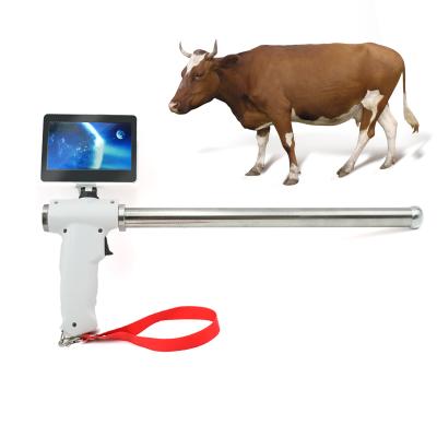 China Video Cow Cow Insemination Gun Farm Animal Insemination Equipment With Display for sale