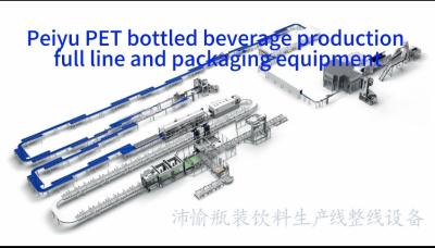 China Producción de bebidas embotelladas de PET Peiyu línea completa y equipos de embalaje en venta