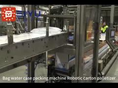 Bag water case packing machine Robotic carton palletizer