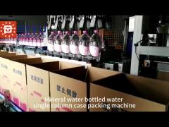 Mineral water bottled water single column case packing machine