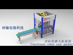 Coordinate Robot Case Packer for Bottling Line