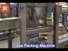 bag water robotic packaging machinery carton palletizer bottle case packer