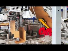 03-21 Side-push type carton wrapping machine for Tetra Pak 1L dairy product packaging line