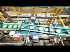 Can lane divider for Ocean Family canned tuna production line