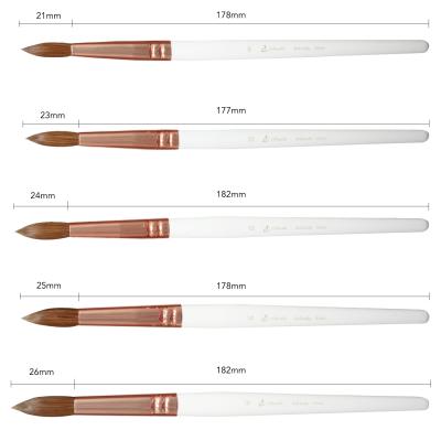 China 2020 New Product EVAL NAIL Brush Acrylic Kolinsky Acrylic Brushes 16 Nail Brush Acrylic Kolinsky Nail Brush for sale