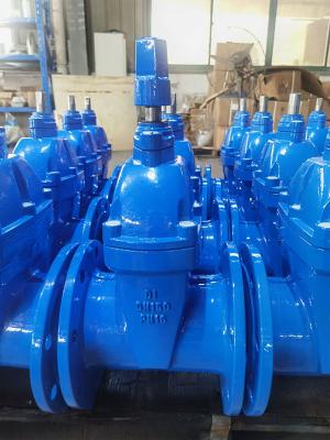 Κίνα Flanged Connection Cast Iron BS5163 Gate Valve For Sewage Applications προς πώληση