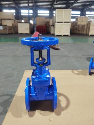 Cina Water / Steam / Oil Soft Seat Gate Valve With Extend Stem DIN / BS5163 / ANSI / GB Standard in vendita