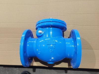 China Swing Cast Iron Check Valve DIN3302-F6 / BS5153 / ANSI B16.10 / JIS B2002 DN50 - DN300/2 -12 Te koop