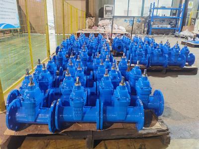 China PN10/PN16 F5 Gate Valve Handwheel Made Of Cast Iron For Durability for sale