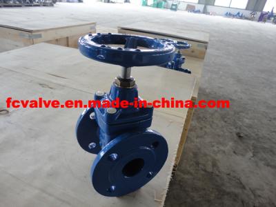 Chine Écrans de fer ductile à pression Y - en fonte / en fer ductile SS304/SS316 à vendre