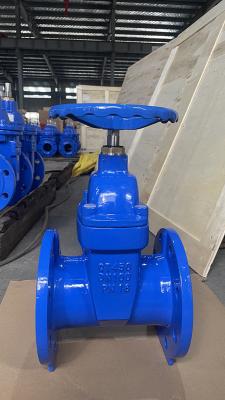 China and Long-Lasting BS5163 Gate Valve for Industrial Applications à venda