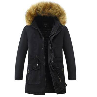 China IVY Factory Hot Sale Casual Mid Length Gym Viable Cotton Padded Jacket Warm With Fur Collar Parka Coat for sale