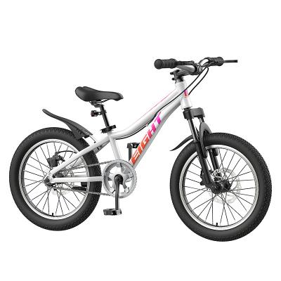 China Exercise Balance Bicycle Kids Bike Cycle / 20 Inch Gear Kids Bike For 10 Years Child / Kids Bike Bicycle Mountain Bike for sale