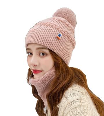 China COMMON Knit Polyester Beanie Streetwear Woven Label Acrylic Beanies Winter Hats Cuffed Warm Knitted Hat With Pompom Wholesale for sale