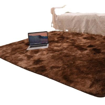 China Stain Resistant Hallway Door Carpet Natural Thick Rug Plush Blanket Children Sink Fluffy Floor Mats For Living Room Room for sale