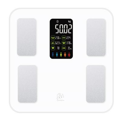 China Hot Sale 180KG Body Weight Bathroom Direct Fitness Scale Smart Body Fat Measurement Scale for sale