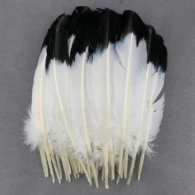 China Turkey Feather Black White Turkey Feather Feathers Scarce Natural 28-33Cm/10-12 INCH For DIY Jewelry Accessories Decorative Color for sale