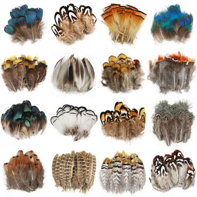 China Diy Small Pheasant Feather 100 Pcs Feather Pheasant Feathers Color For Craft Decoration Wedding Carnival for sale