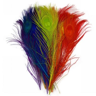 China Peacock Feather 100 Pcs Faded Bleached Dyed Peacock Feathers Home Feather Wedding Decoration Crafts Eyes 25-30CM/10-12Inch DIY for sale