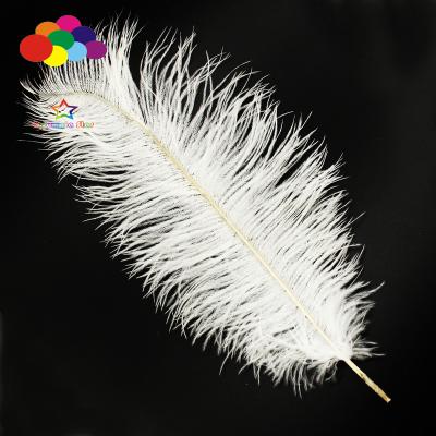 China Gorgeous High Quality Ostrich Feathers 25-30 Color Wedding cm/10-12 inch 100PCS/lot Ostrich Feather 32 Color Beautiful Feather Decorations for sale