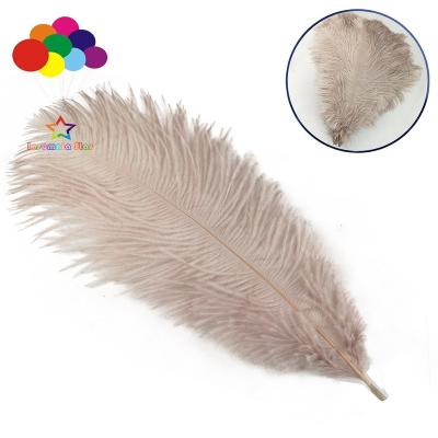 China Natural Ostrich Feather 100 PCS Ostrich Feathers, 6-8 Inch Soft Native Feather for Party, Wedding Centerpieces, Home Decoration for sale