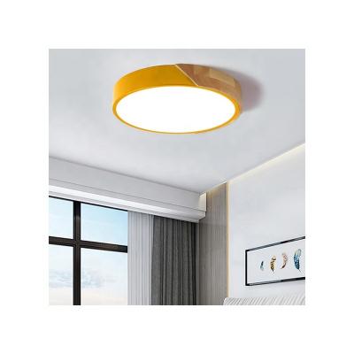 China Modorn/European Popular European Style Simple Indoor Led Ceiling Smart Lamp Is Dimmable for sale