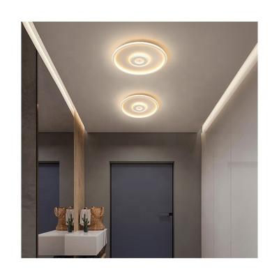 China Bedroom Ceiling Surface Mounted Outdoor Mounted Decorative Lamp 36W Led Indoor Lighting Ceiling Light for sale