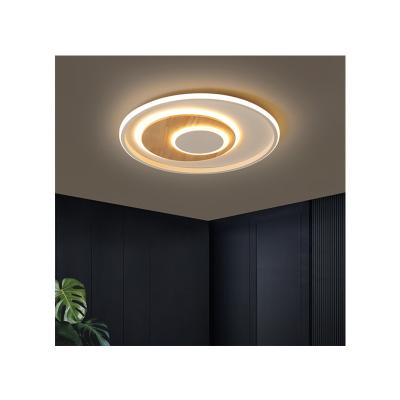 China Outdoor Mounted Ceiling Light Modern Adjustable Residential Lighting Luxury 3Cct Ceiling Light for sale