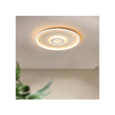 China Outdoor Mounted Lights Modern Ceiling Remote Control No Flickering Residential Lighting Home Ceiling Lights for sale