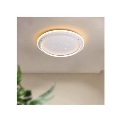 China Living Room Outdoor Mounted Ceiling Light 3000K-4000K-6500K Led Lighting Lamp Ceiling for sale