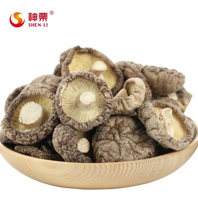 China 2018 FROZEN Hot Sale IQF Shiitake Mushroom for sale