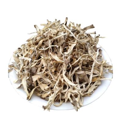 China Dried chestnut mushroom for sale