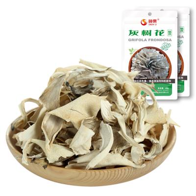 China Dry Chestnut Mushroom Grifola Frondosa Cooking To Eat for sale